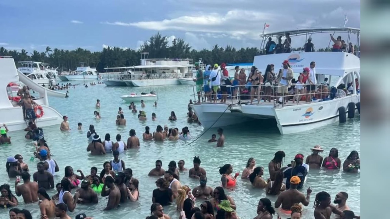Groups swimming in shallow coastal water beside excursion boats