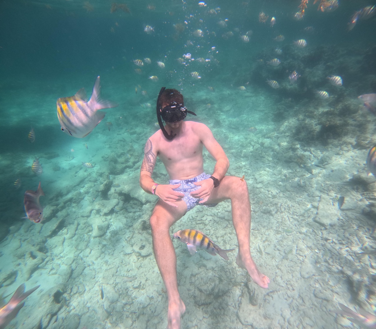 Traveler snorkeling among tropical fish in clear Caribbean water