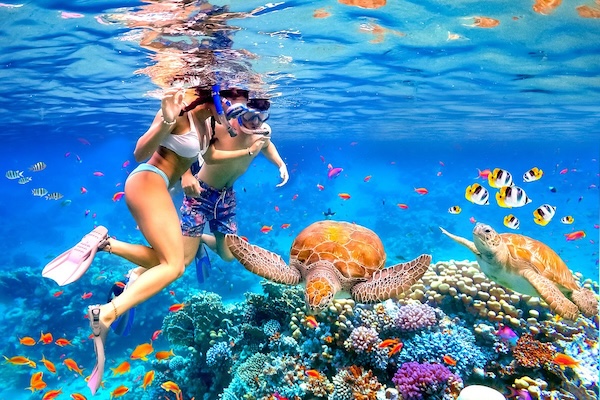 Snorkeling Adventure