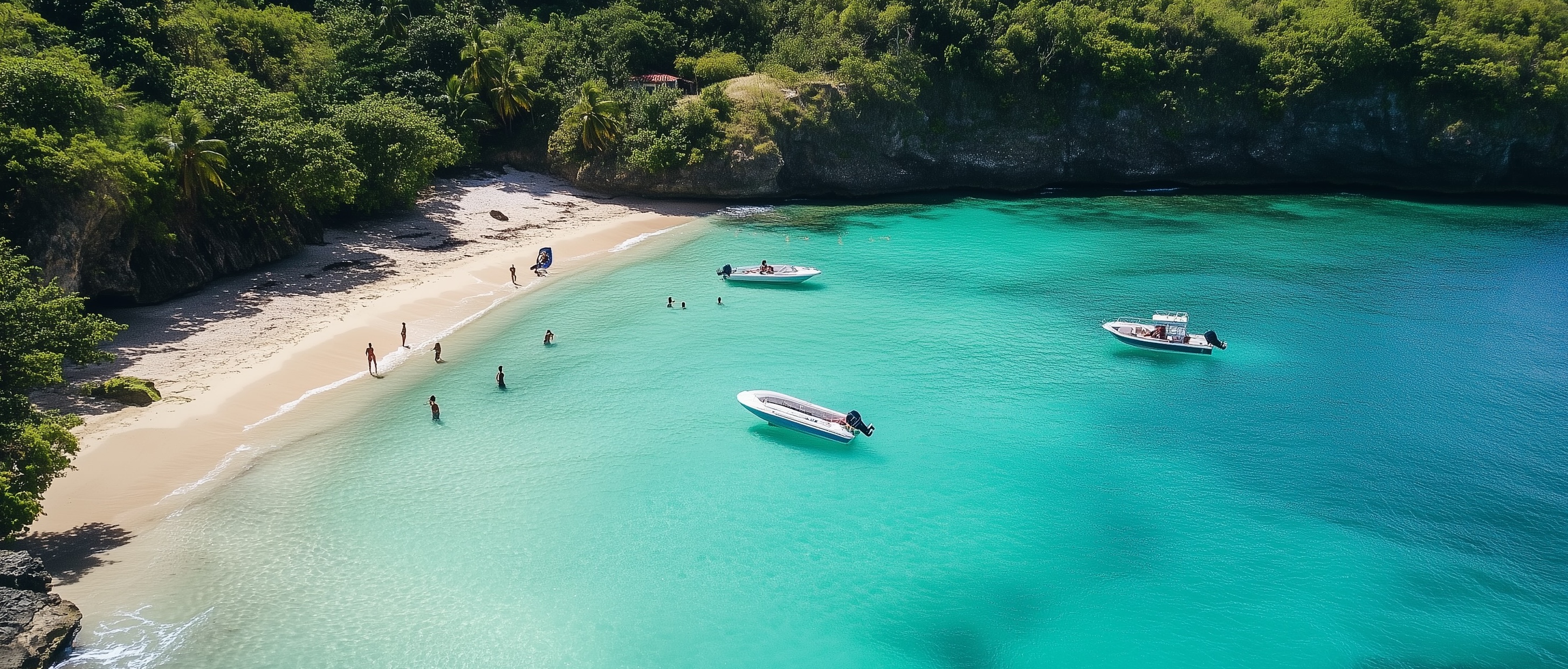 Tropical Beach Adventure